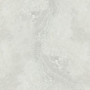 Fog Light Grey Gloss Finish Porcelain 60x60cm Wall and Floor Tiles