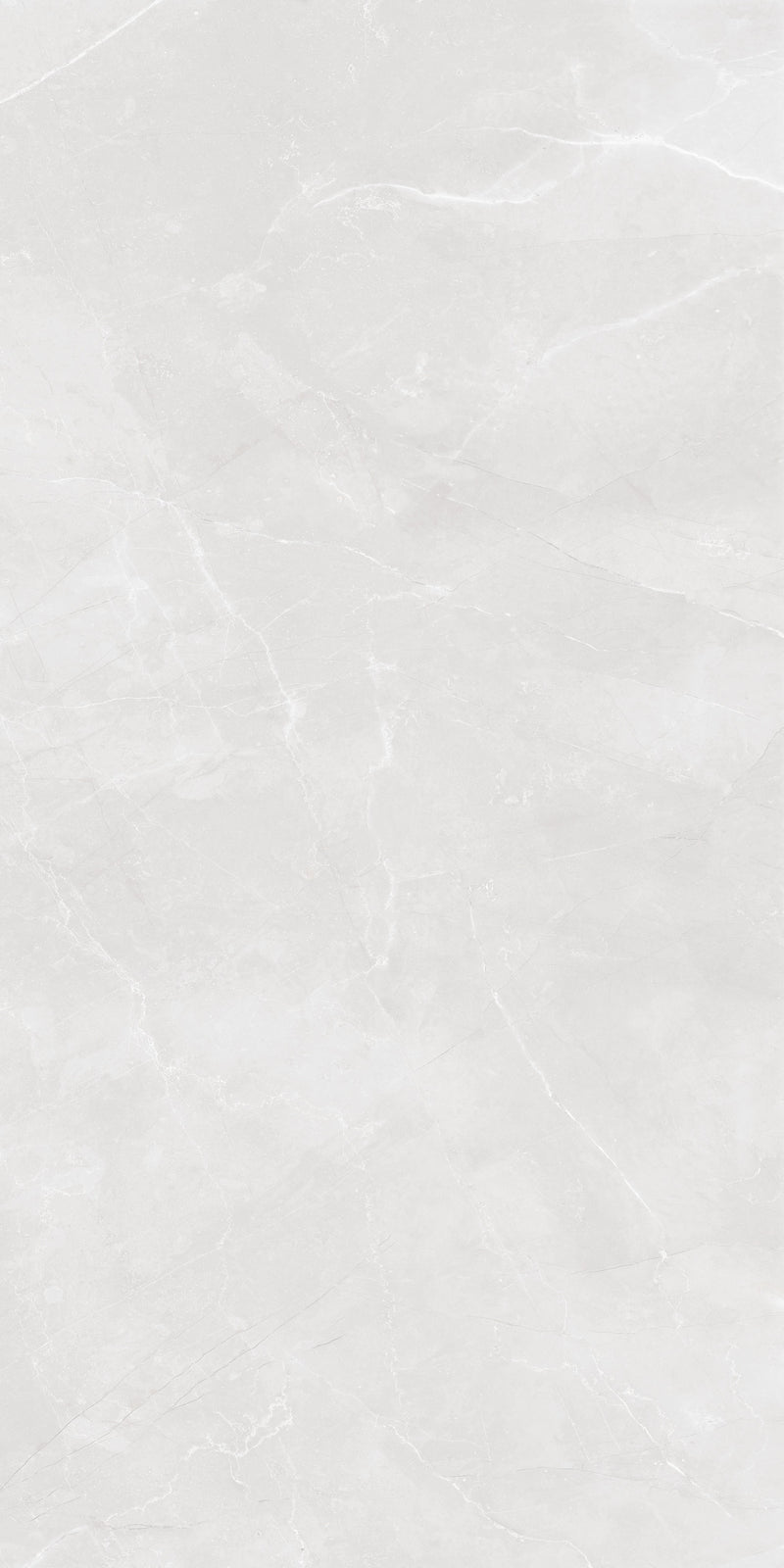 Insperia Grey Gloss Finish Porcelain 60x120cm Wall and Floor Tiles