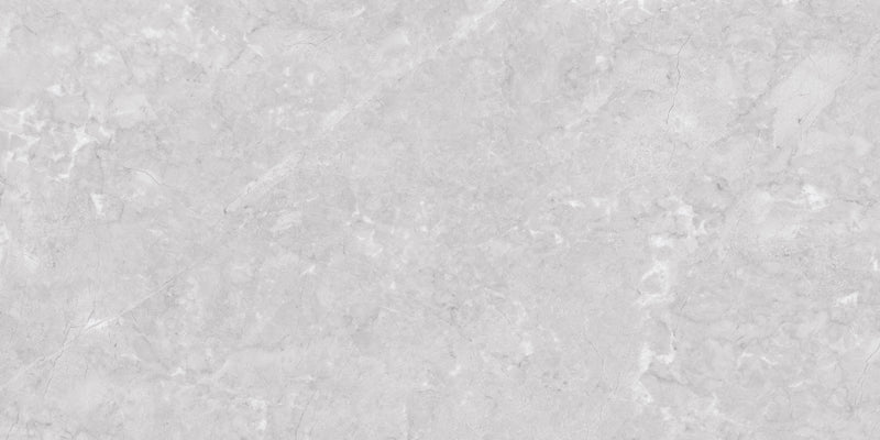 Mehrons Silver Glossy Finish 60x120cm Porcelain Wall and Floor Tiles