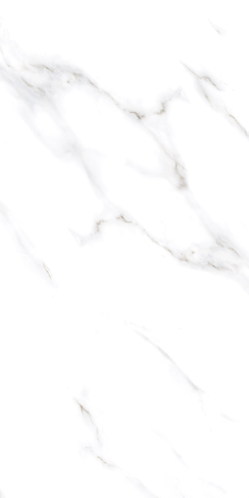 Sater White Gloss Finish Porcelain 60x120cm Wall and Floor Tiles